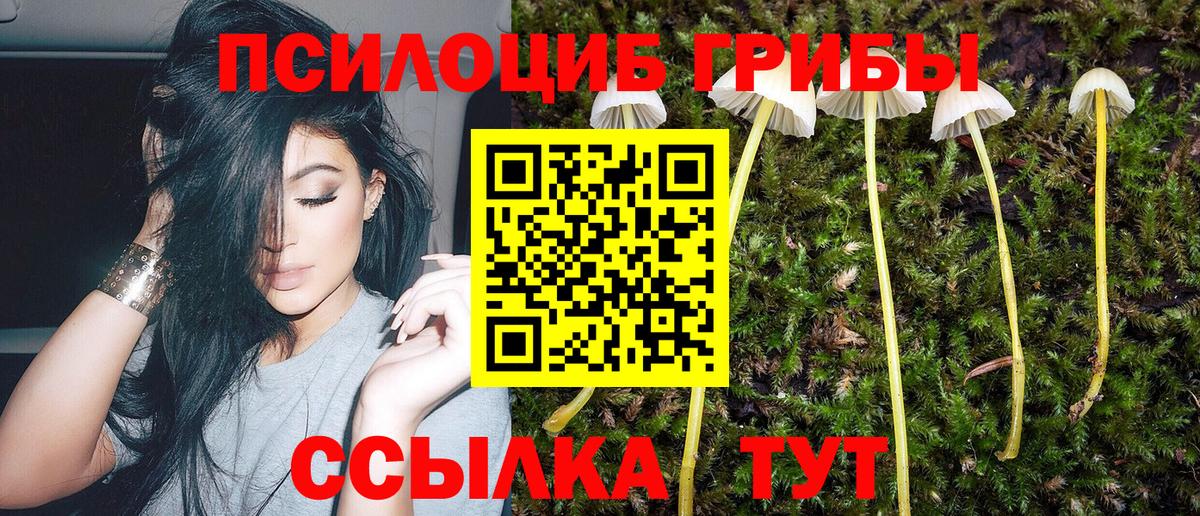 Нягань  Галлюциногенные грибы Magic Shrooms  Вход с VPN 